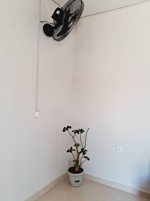 Apartamento Flat Compacto E Mobiliado Proximo A Rodoviaria Aeroporto Palmas  Exterior foto